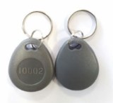 T5577-FOB06-EGN