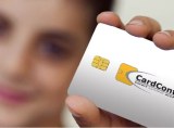 Carte à puce HSM 4K double IF